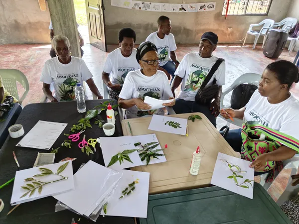 Gobernanza Territorial y Banco de Hábitat en Ecosistema del Chocó