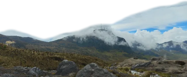 Expedición en los Andes y biodiversidad local
